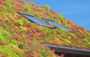 Mid Calder living roof systems